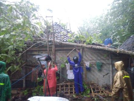 Hujan Lebat Rumah Tukijan Kadibeso Tertimpa Pohon Jati